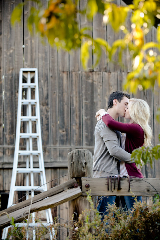 Engagement 2011-10-18 Lindsay & Lyndon-Utah Wedding and Portrait Photographer-Orchard Engagements002IMG_0791-Blog