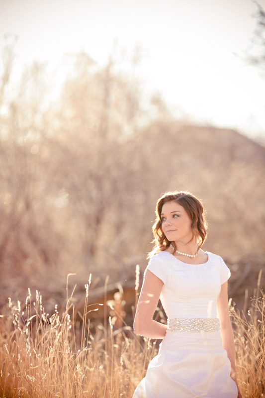 Wedding-and-Portrait-Photographer-Bridals-Elisabeth-Kate-Photography025IMG_2901-Blog