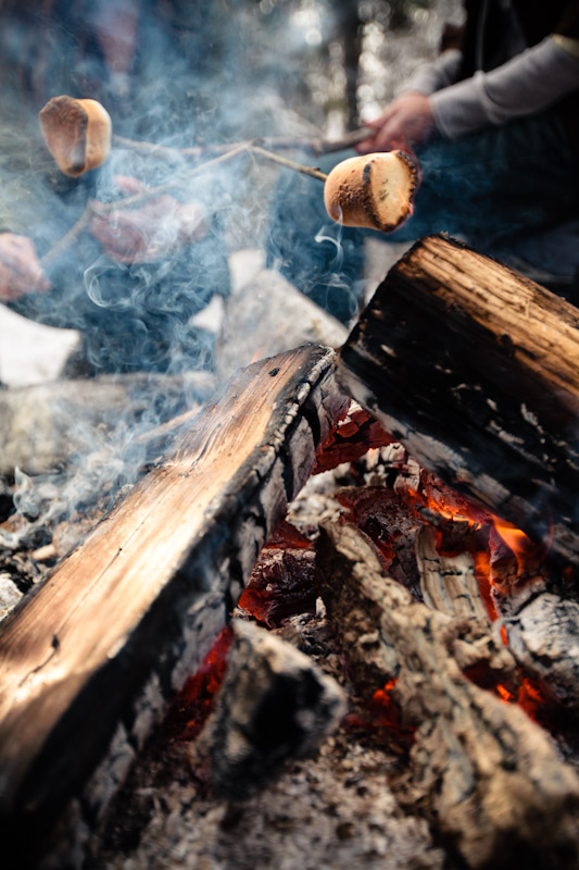 Wedding-and-Portrait-Photographer-Camp-fire-engagements-elisabeth-kate-photography041IMG_7180-Blog