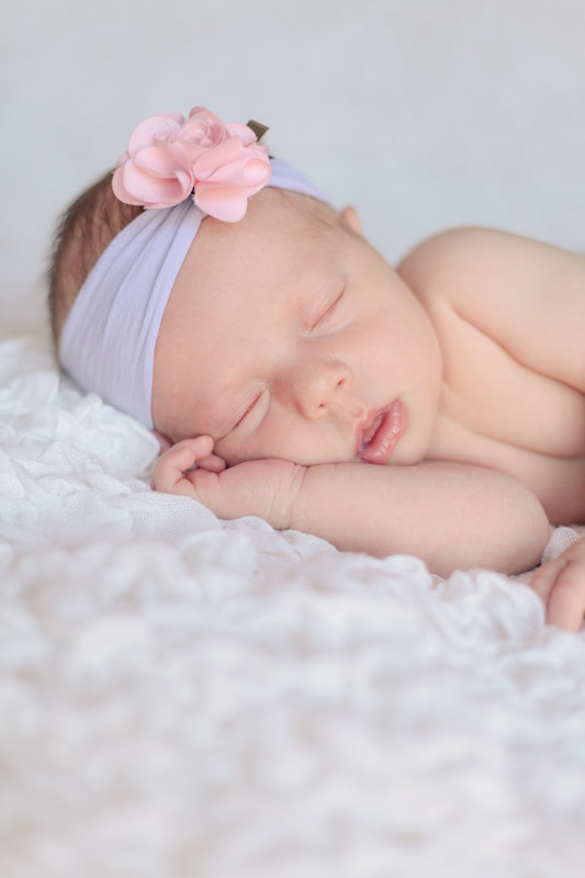 Wedding and Portrait Photographer-Newborns003IMG_8279-Blog Wedding-and-Portrait-Photographer-Newborns003IMG_8279-Blog
