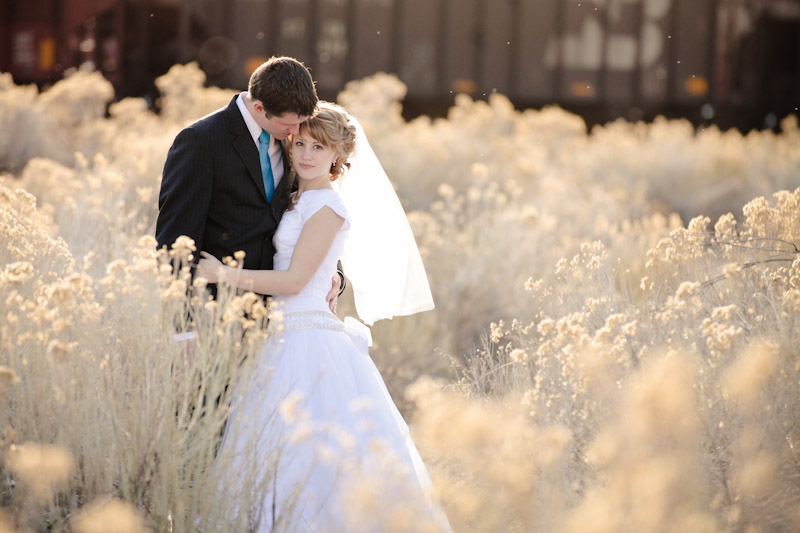 Wedding and Portrait Photographer-Utah Bridal Photographer034IMG_5839-Blog