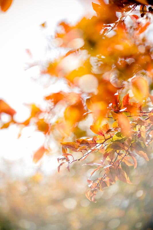 EK-Studios-Wedding-Photographer-Wedding001-Blog
