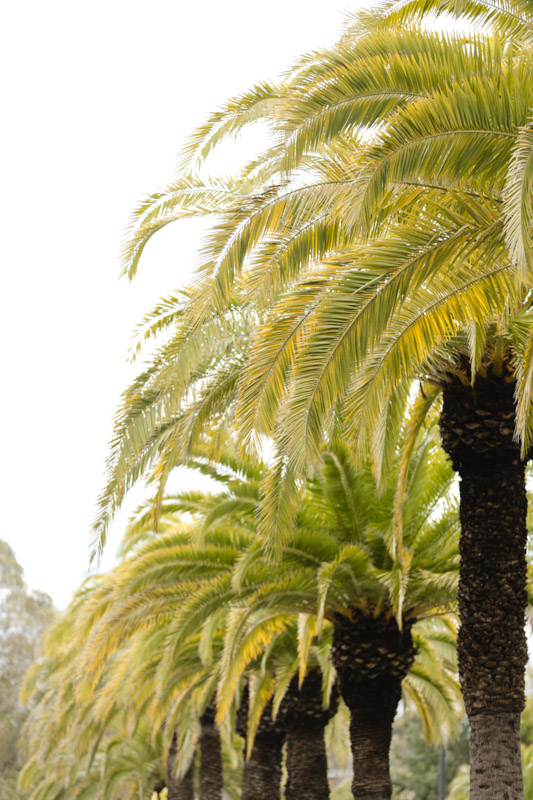 EK-Studios-Utah-Wedding-Photographers-Oakland-LDS-Temple-Wedding002-Blog