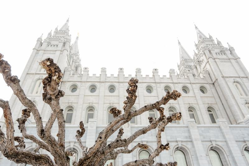 EK Studios-Utah Wedding Photographers-Noah's Wedding Reception South Jordan005-Blog EK-Studios-Utah-Wedding-Photographers-Noahs-Wedding-Reception-South-Jordan005-Blog