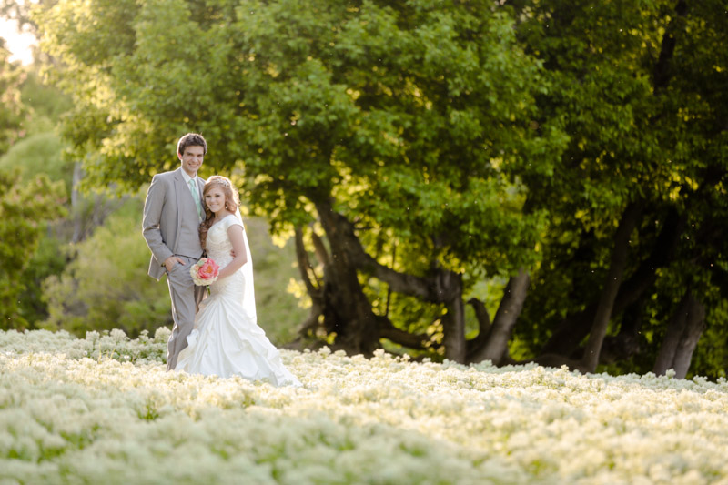 EK-Studios-Utah-Wedding-Photographers-Spring-bridals-in-wild-flowers030-Blog