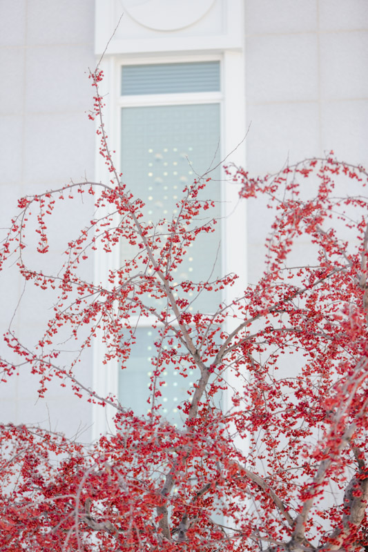 EK-Studios-Utah-Wedding-Photographers-Timpanogos-Temple-Wedding-Winter002-Blog