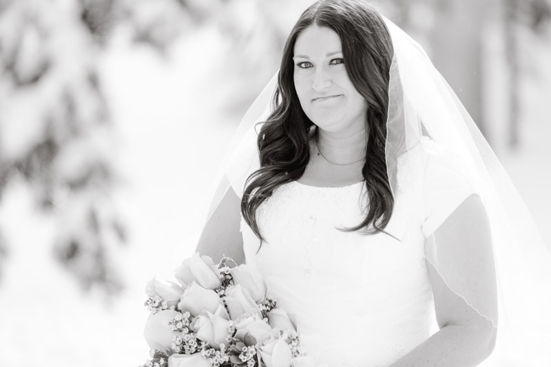 Wedding-and-Portrait-Photographer-Winter-Bridals-in-the-snow011EK1_4513-Blog