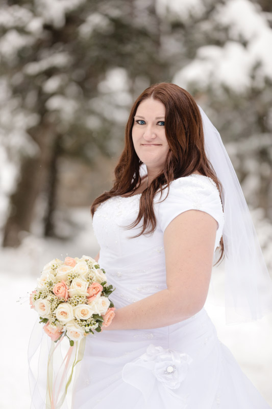 Wedding-and-Portrait-Photographer-Winter-Bridals-in-the-snow013EK1_4890-Blog
