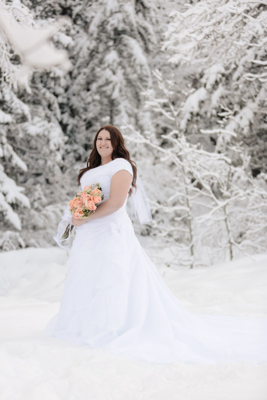 Wedding-and-Portrait-Photographer-Winter-Bridals-in-the-snow019EK1_5102-Blog