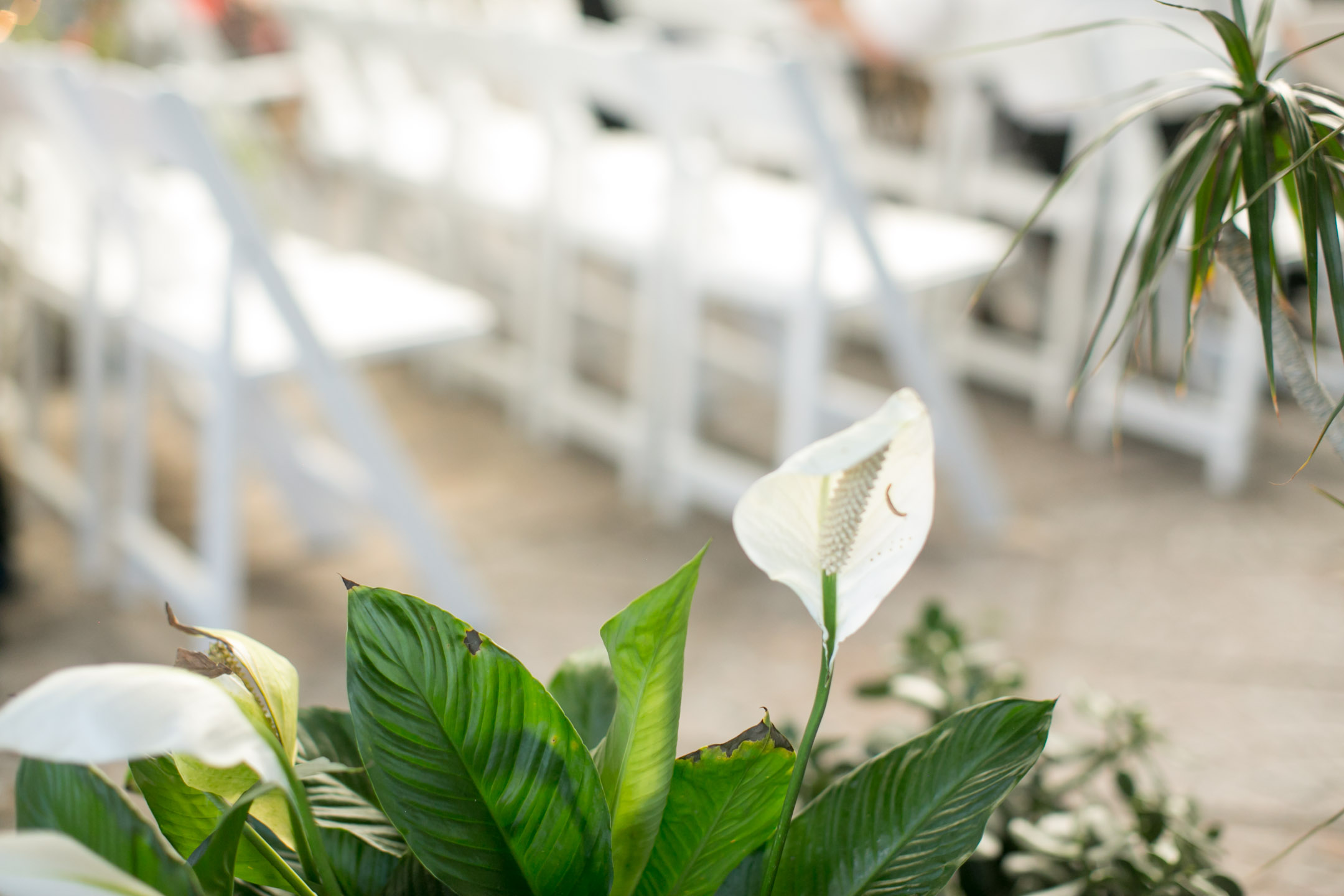 EK-Studios-Utah-Wedding-Photographers-Le-Jardin-Wedding-sandy-utah-photography004-Blog