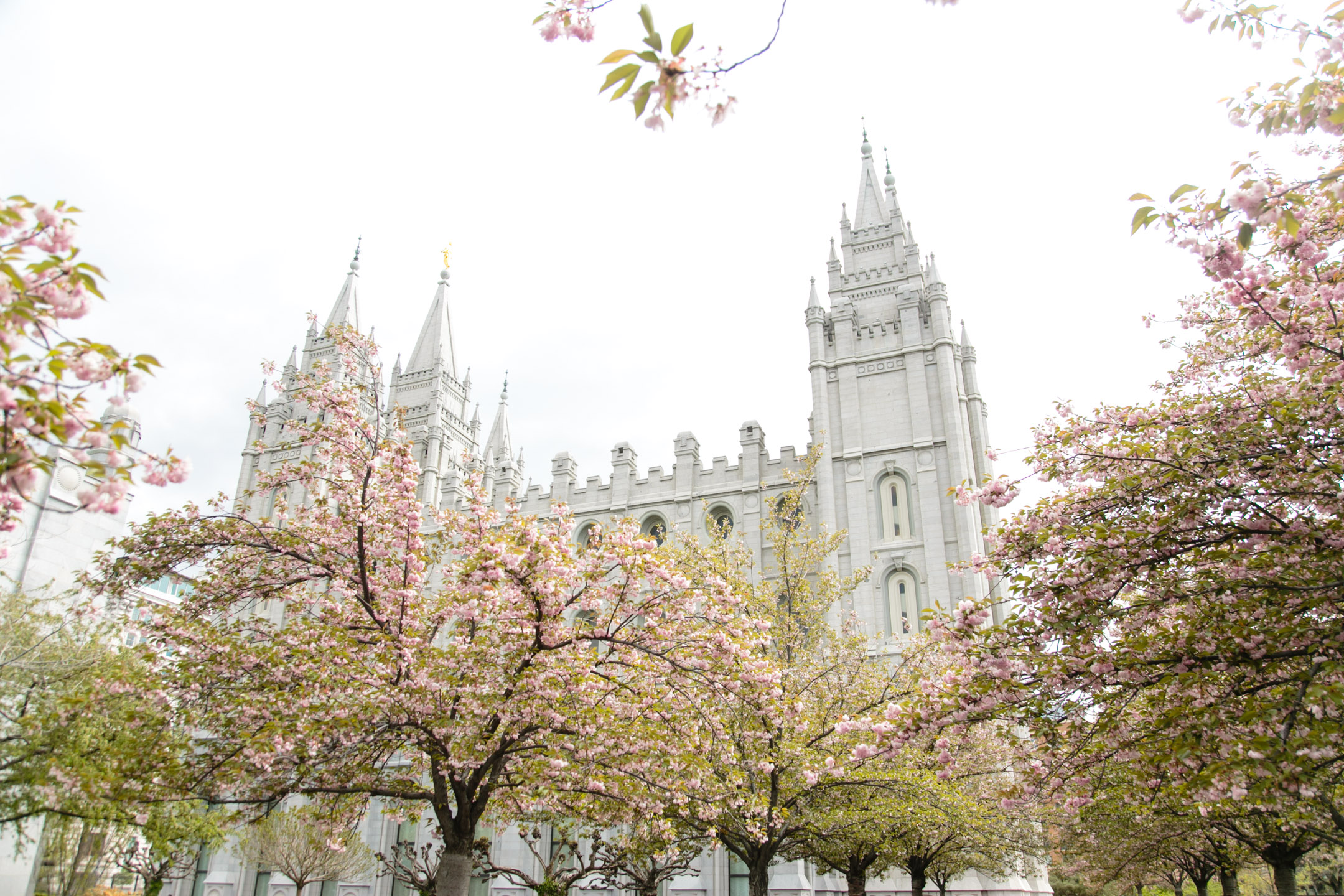 EK-Studios-Utah-Wedding-Photographers-SLC-Temple-wedding-Joseph-Smith-Memorial-Building-reception002-Blog