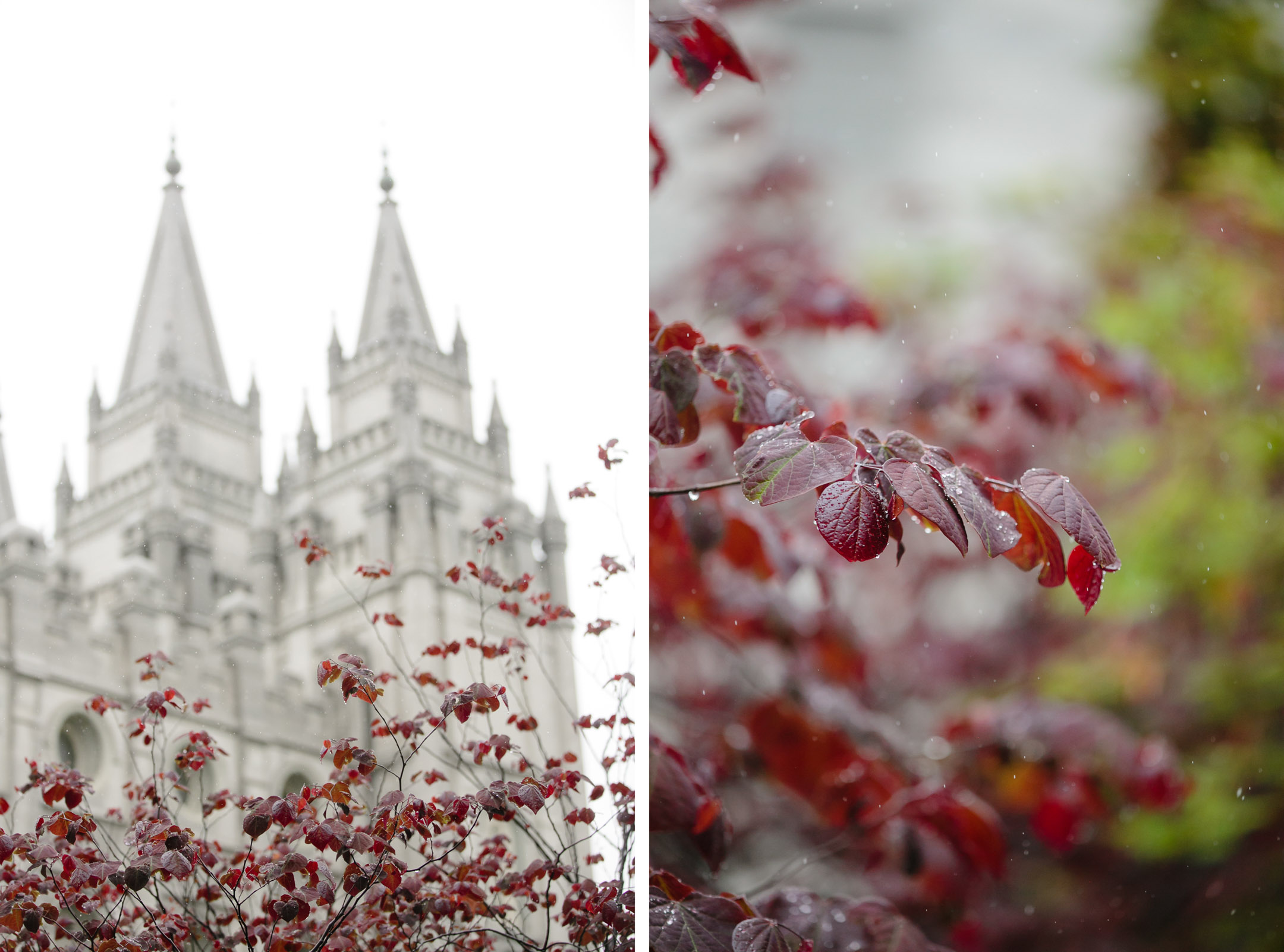 EK-Studios-Utah-Wedding-Photographers-SLC-temple-wedding-rainy-day001-Blog