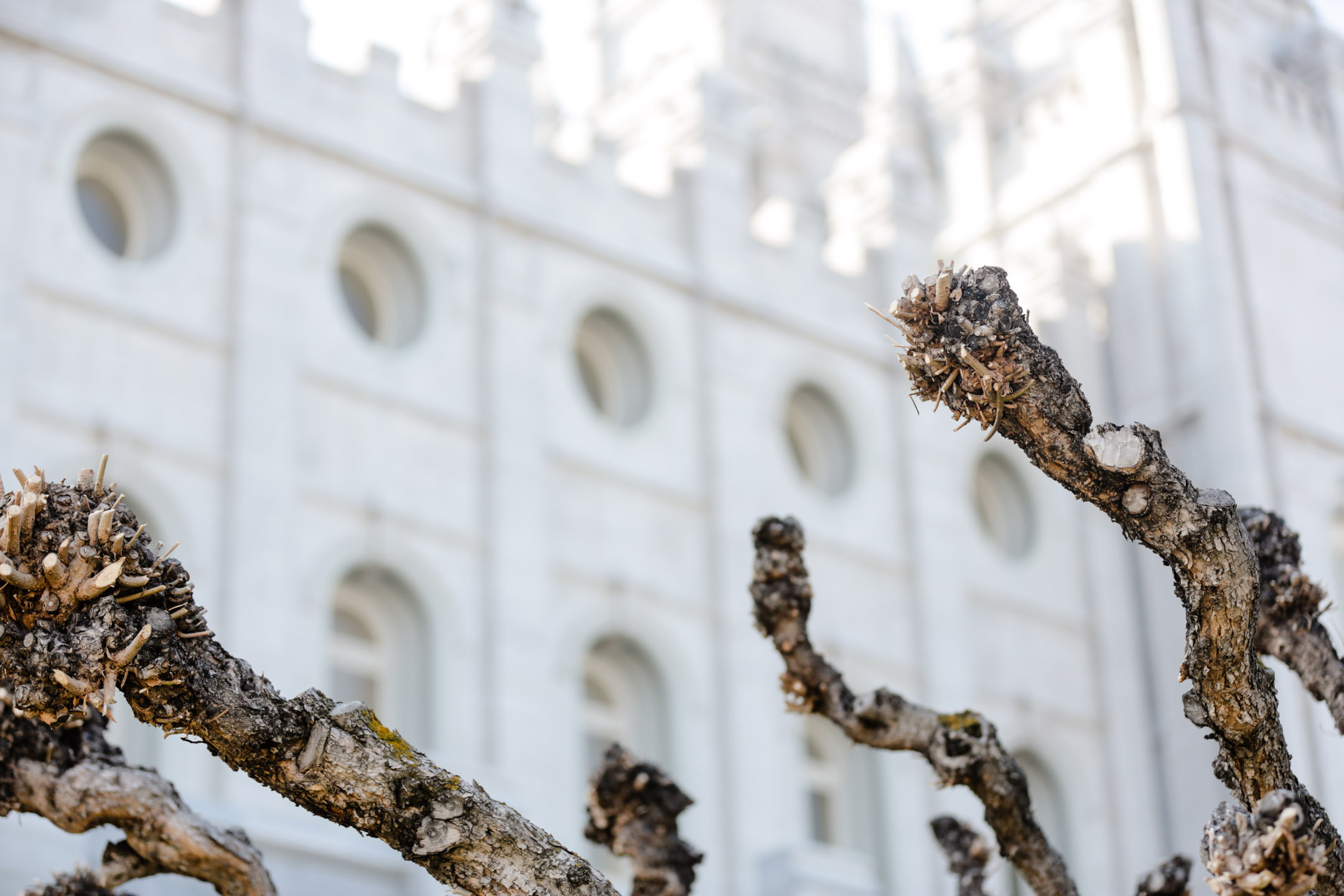 EK-Studios-Utah-Wedding-Photographers-Wedding-Erica-Sam001-Blog