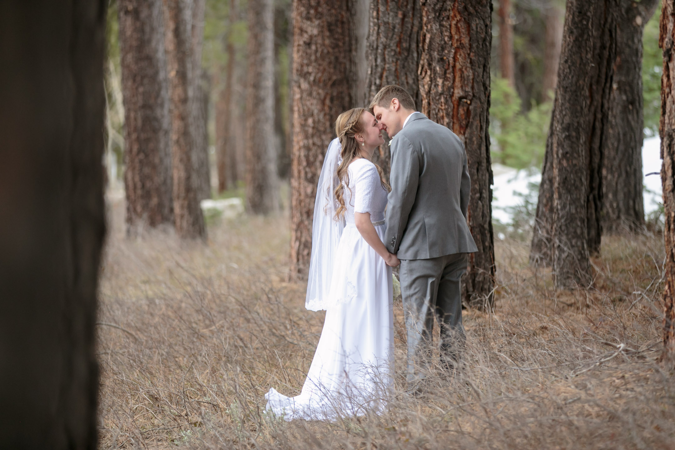 EK-Studios-Utah-Wedding-Photographers-Bridals-in-the-woods-pines020-Blog