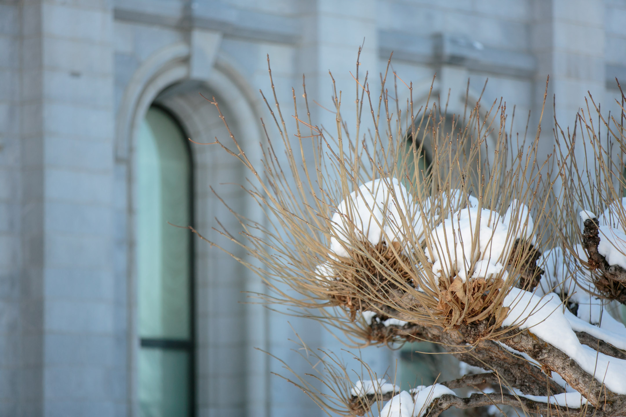EK-Studios-Utah-Wedding-Photographers-Salt-Lake-temple-Wedding-Sleepy-Ridge-Golf-course-Reception002-Blog
