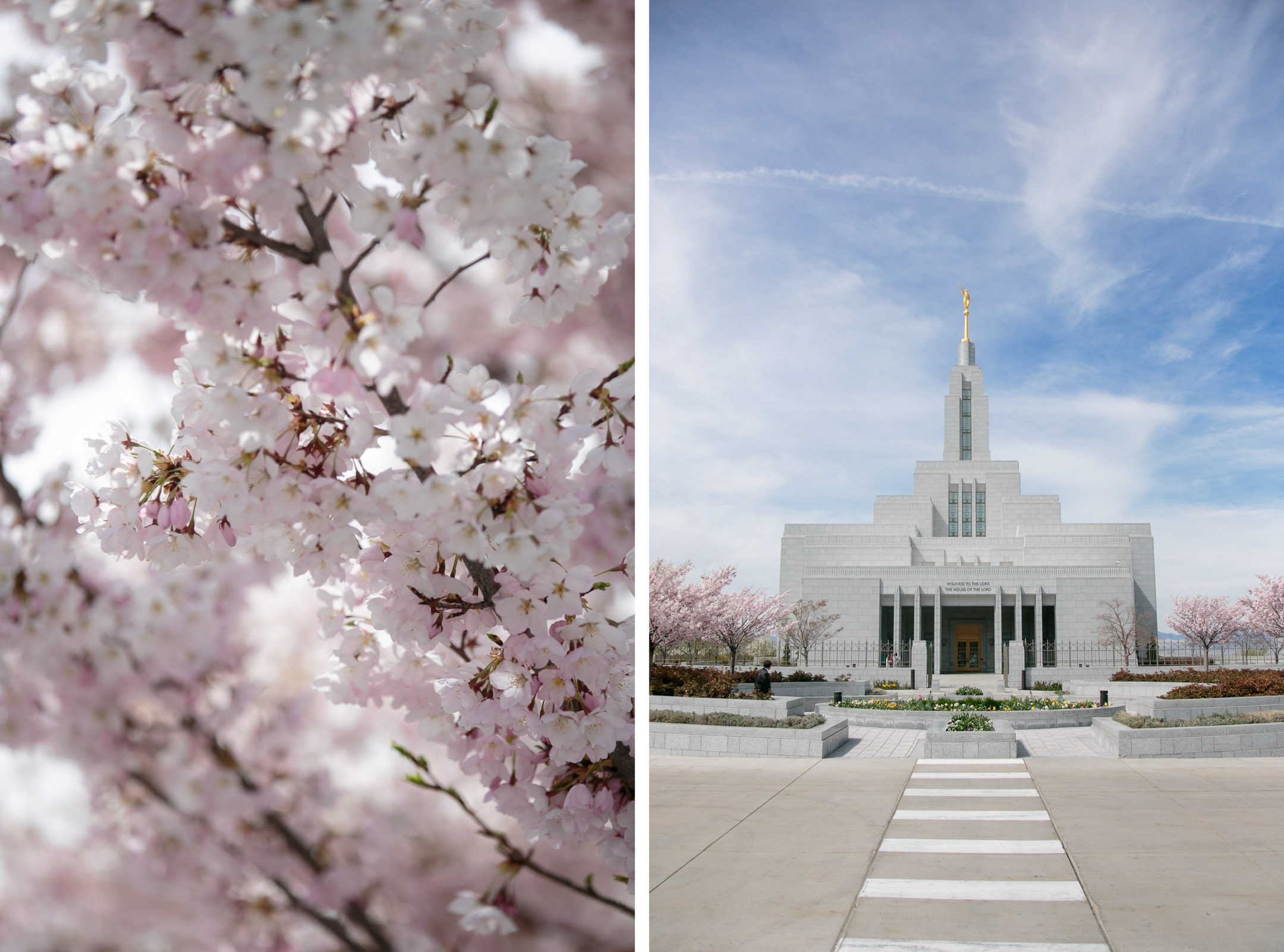 EK-Studios-Utah-Wedding-Photographers-Draper-Temple-Wedding-Utah-photography-blossoms002-Blog
