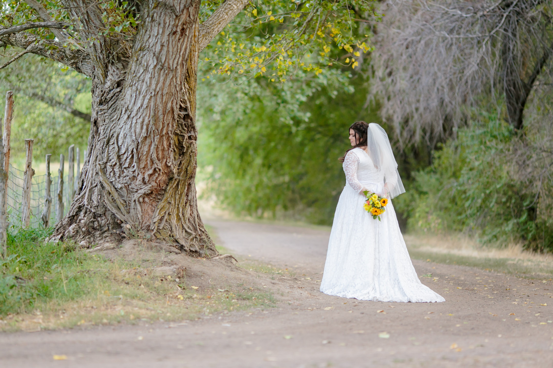 EK-Studios-Utah-Wedding-Photographers-Rustic-Bridals-nature005-Blog