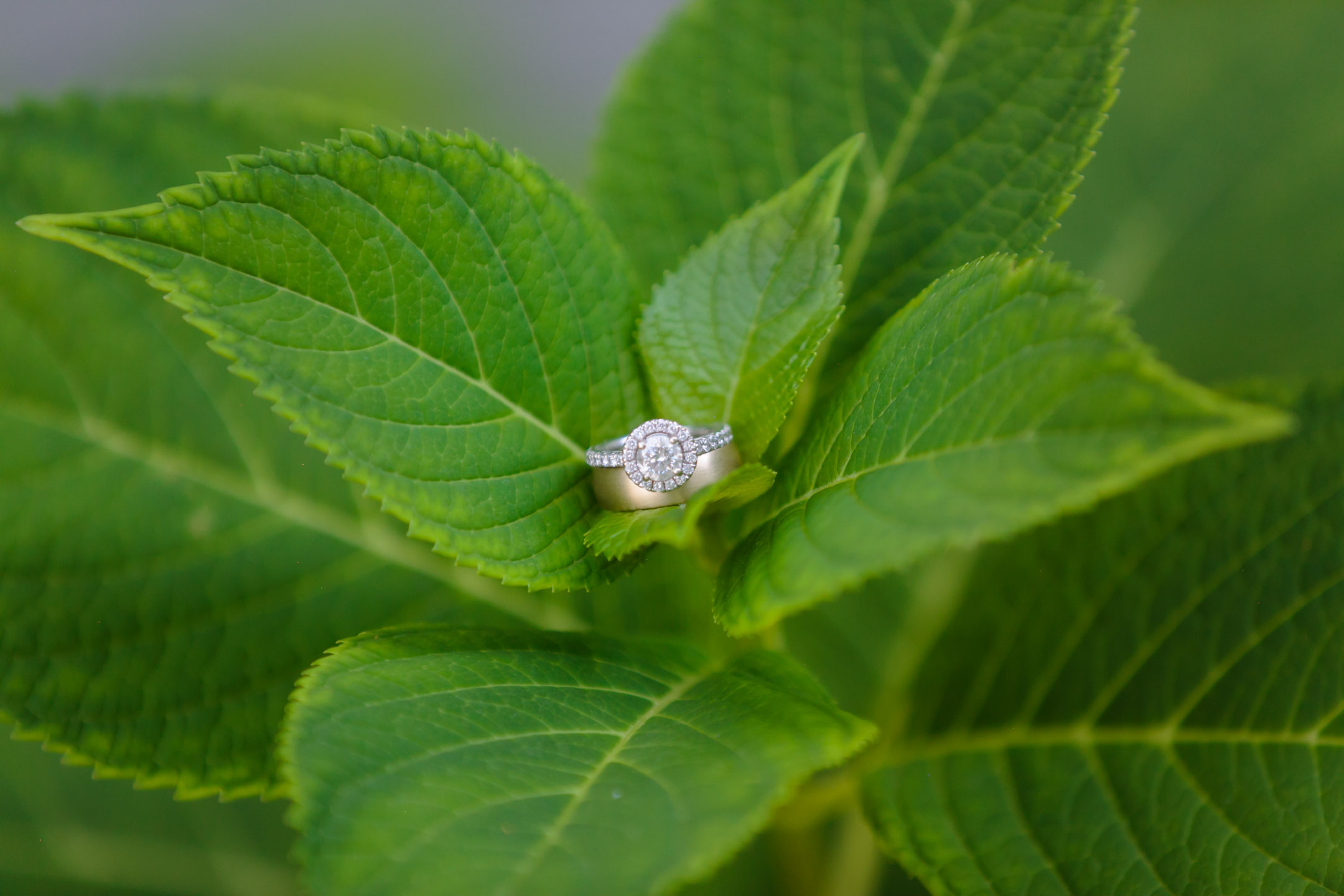 EK-Studios-Utah-Wedding-Photographers-Mount-Timpanogos-Temple-Wedding-American-Fork-Photographer022-Blog