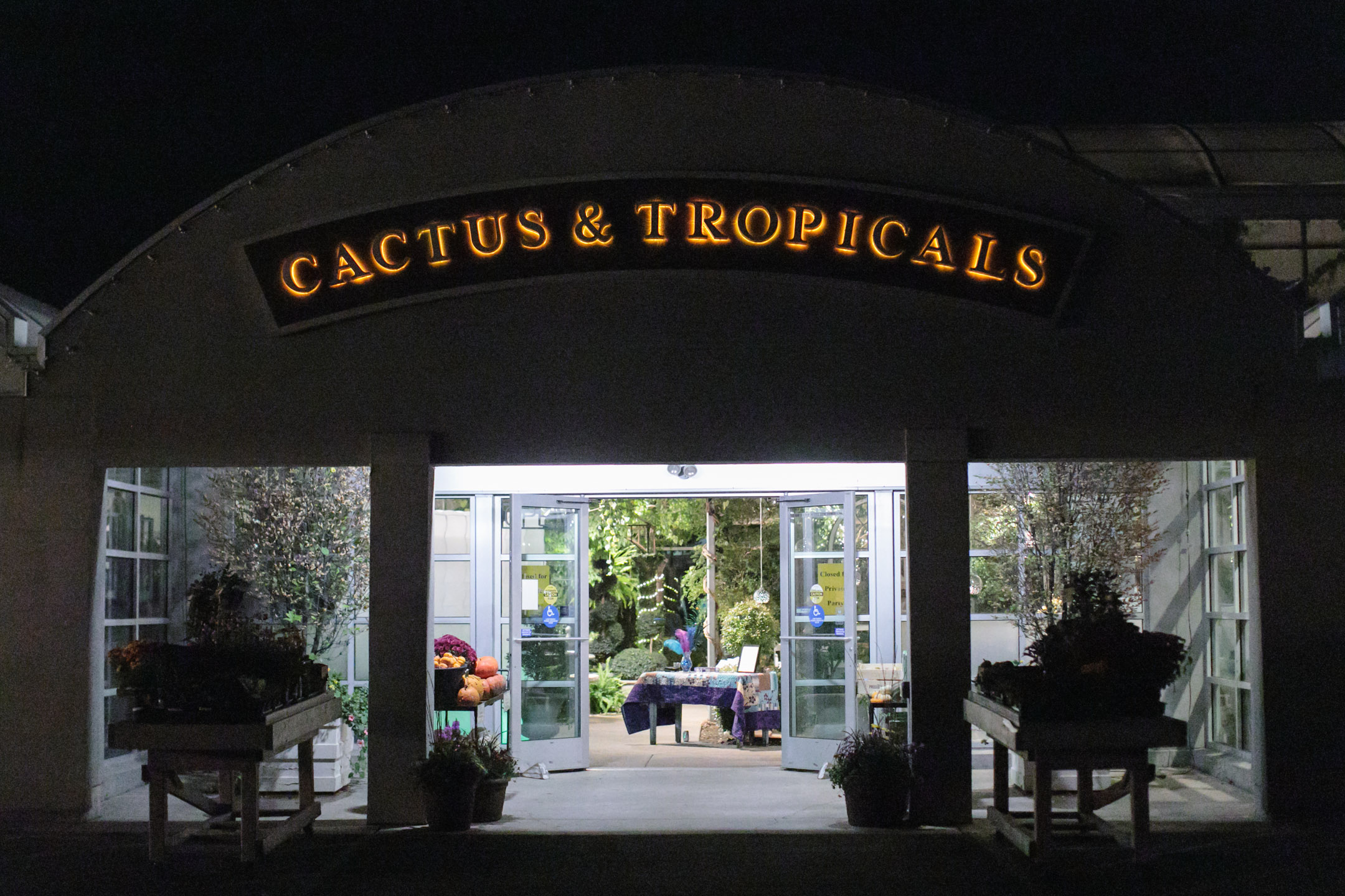 EK-Studios-Utah-Wedding-Photographers-Cactus-Tropicals-Wedding-Draper023-Blog