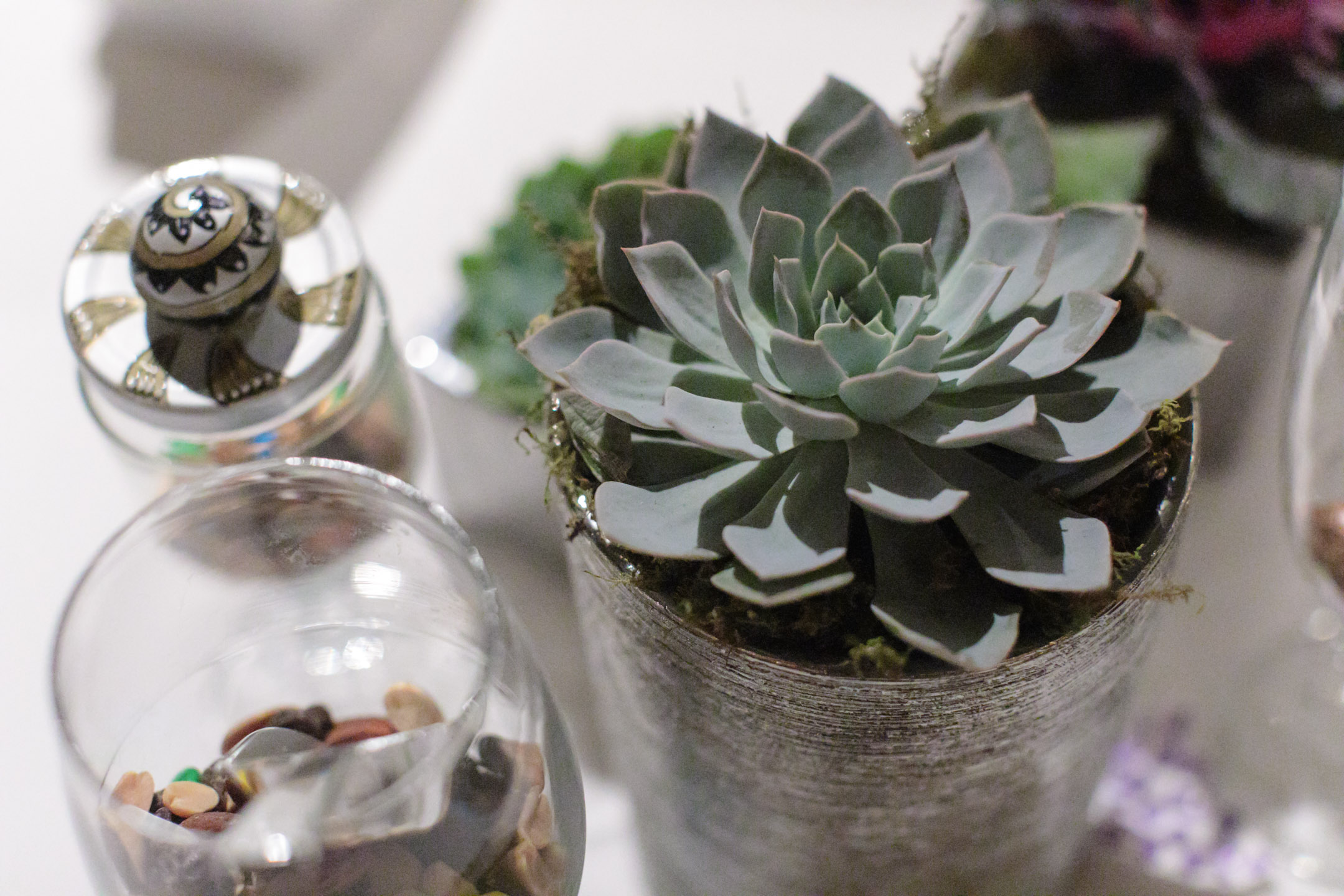 EK-Studios-Utah-Wedding-Photographers-Cactus-Tropicals-Wedding-Draper026-Blog