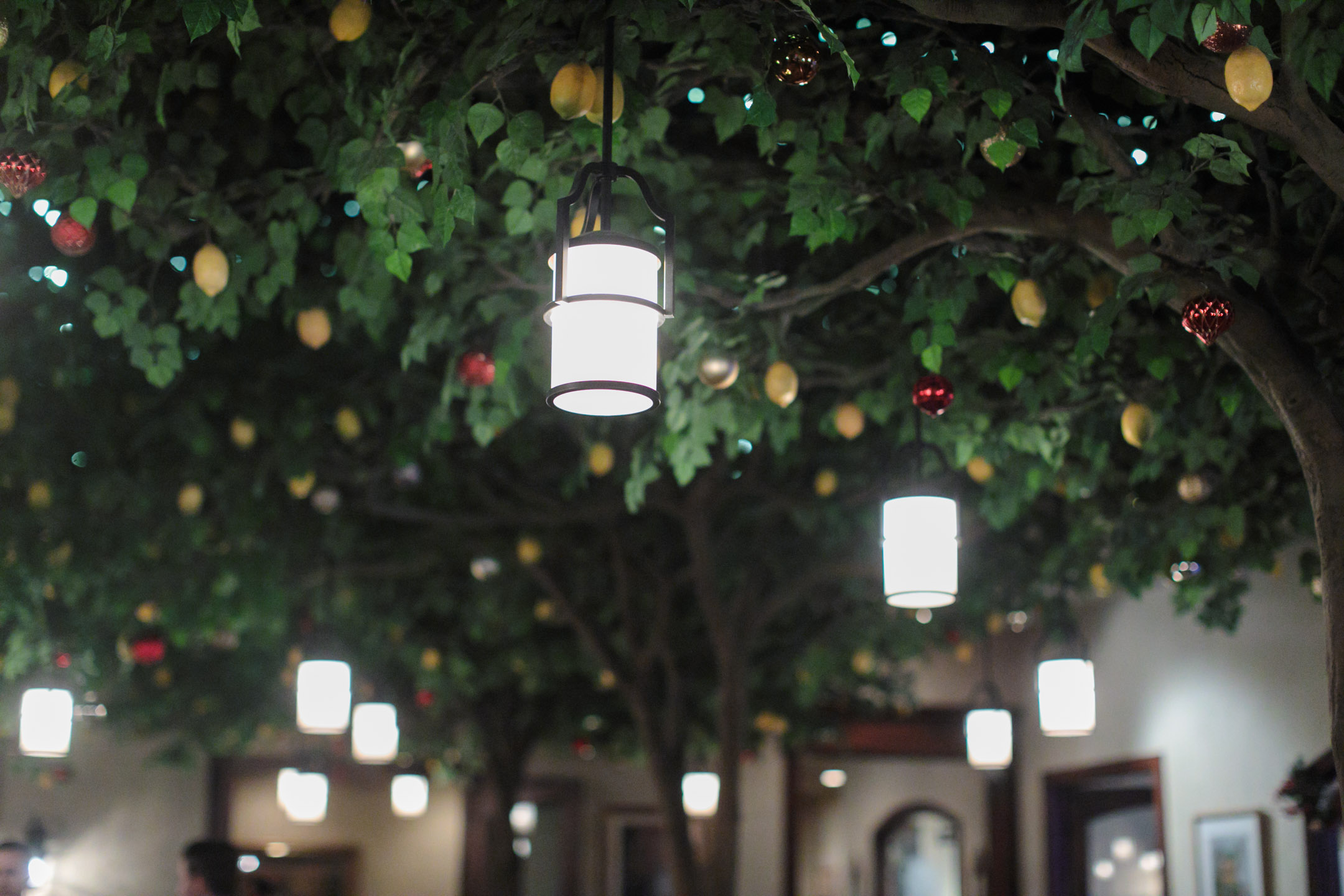 Snowy-Winter-Wedding-Draper-Temple-La-Jolla-Groves-Recpetion-Dinner-ProvoUtah-Wedding-Photographers-EK-Studios-Photo-Video020-Blog