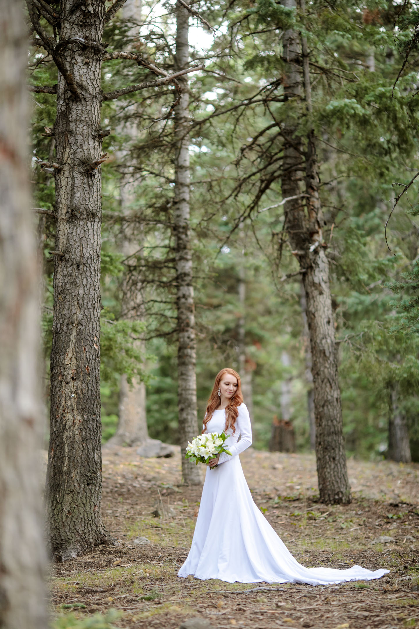 Bridals-in-the-woods-Pines-utah-photographer-31