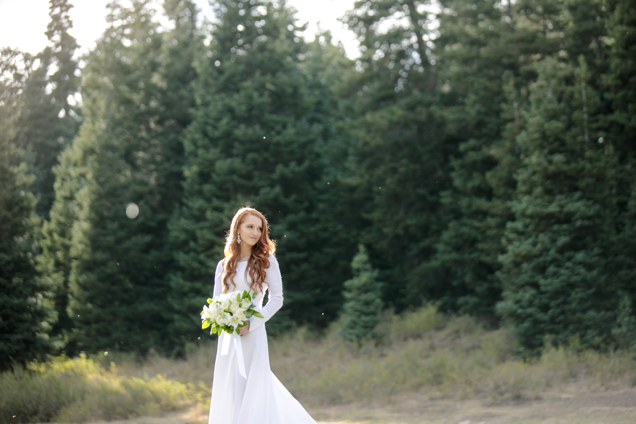 Bridals-in-the-woods-Pines-utah-photographer-6
