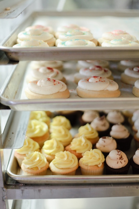 1-Final-The-Chocolate-Utah-Wedding-and-Portrait-Photographer-Commercial-Business-Photographer015The-Chocolate-28-Blog(pp_w480_h720)