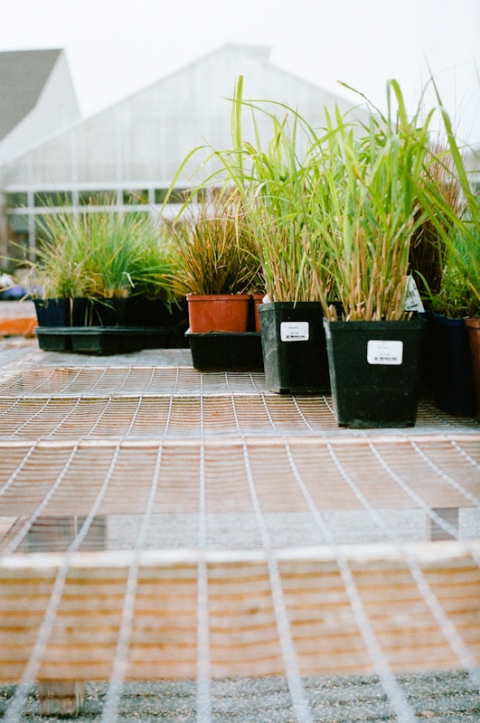 DETAILS-Utah-Wedding-and-Portrait-Photographer-Sun-River-Gardens-UT-Commercial-Work008Sun-River-Gardens-32-Blog(pp_w480_h723)