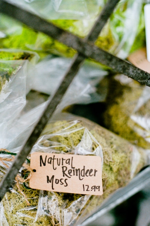 DETAILS-Utah-Wedding-and-Portrait-Photographer-Sun-River-Gardens-UT-Commercial-Work011Sun-River-Gardens-7-Blog(pp_w480_h723)