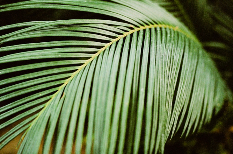 DETAILS-Utah-Wedding-and-Portrait-Photographer-Sun-River-Gardens-UT-Commercial-Work016Sun-River-Gardens-25-Blog(pp_w768_h509)
