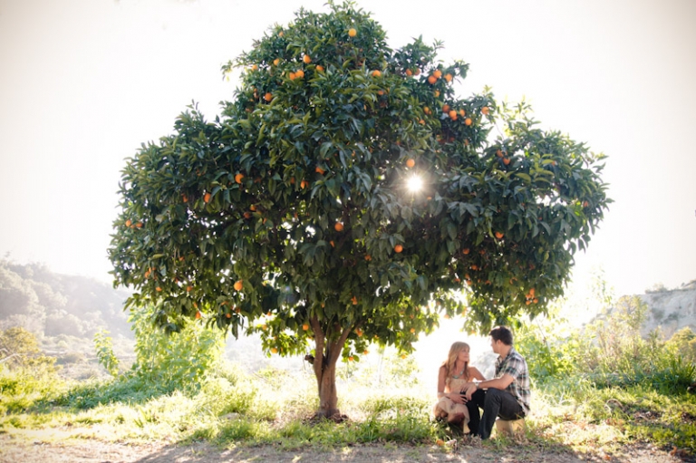 Engagments-2011-91-22-Megan-Danny-Utah-Wedding-and-Portrait-Photographer-Southern-California-Engagement-Wedding-photographer-CA014IMG_0785-Blog(pp_w768_h511)