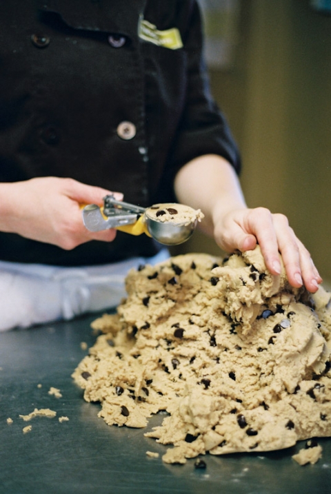 FILM-Utah-Wedding-and-Portrait-Photographer-Commercial-Business-Photographer010xxxx000008-R4-025-11-Blog(pp_w480_h717)