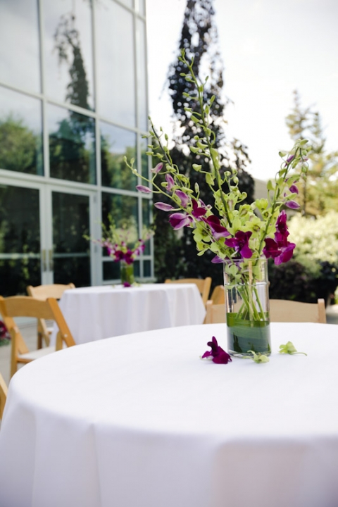 Wedding-2011-08-18-Michelle-Justin-Utah-Wedding-and-Portrait-Photographer-Red-Butte-Gardens041IMG_8450-Blog(pp_w480_h720)