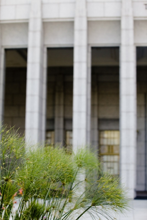 Bridals-2011-08-29-Sarah-Max-Utah-Wedding-and-Portrait-Photographer-Picnic-Wedding-Reception002IMG_4180-Blog1(pp_w480_h720)