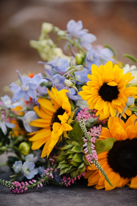 Wedding-2011-09-02-Sarah-Max-Utah-Wedding-and-Portrait-Photographer-Picnic-Wedding-Reception003IMG_5568-Blog(pp_w480_h720)
