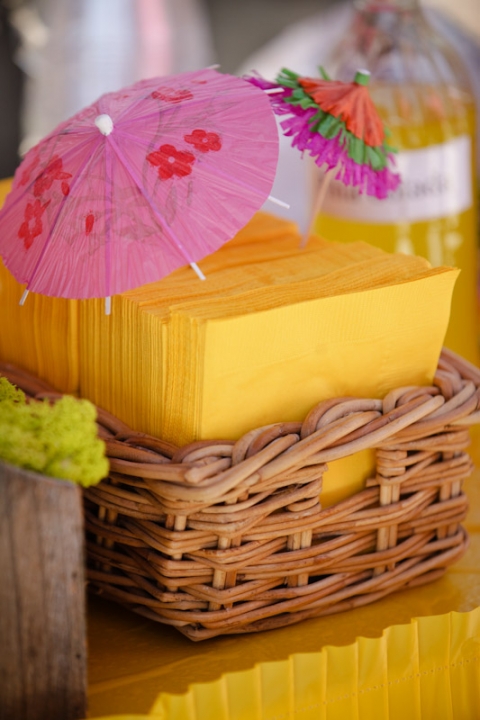 Wedding-2011-09-02-Sarah-Max-Utah-Wedding-and-Portrait-Photographer-Picnic-Wedding-Reception040IMG_5597-Blog(pp_w480_h720)