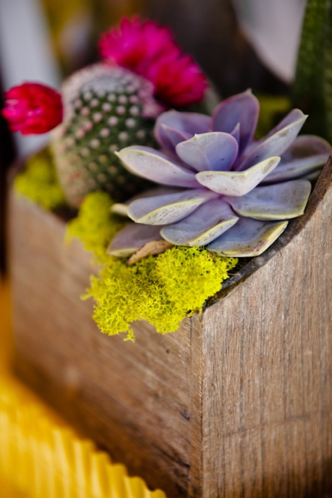 Wedding-2011-09-02-Sarah-Max-Utah-Wedding-and-Portrait-Photographer-Picnic-Wedding-Reception042IMG_5594-Blog(pp_w480_h720)