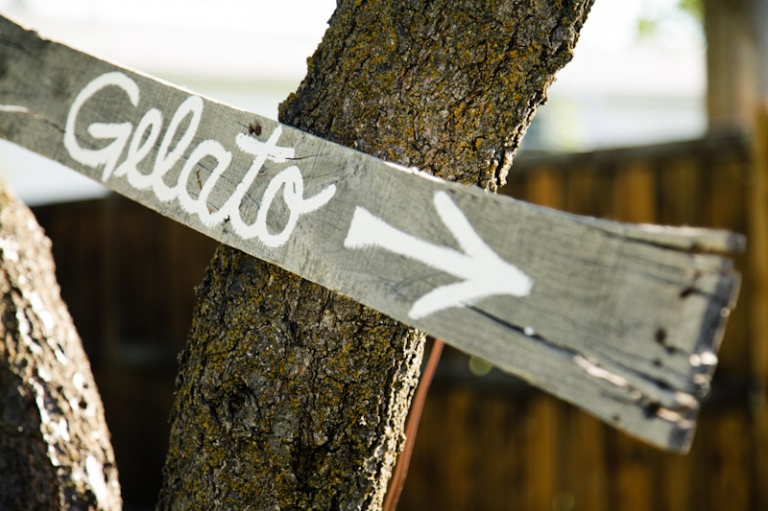 Wedding-2011-09-03-Sadey-Brett-Utah-Wedding-and-Portrait-Photographer-Picnic-Wedding-UT008IMG_7804-Blog1(pp_w768_h511)