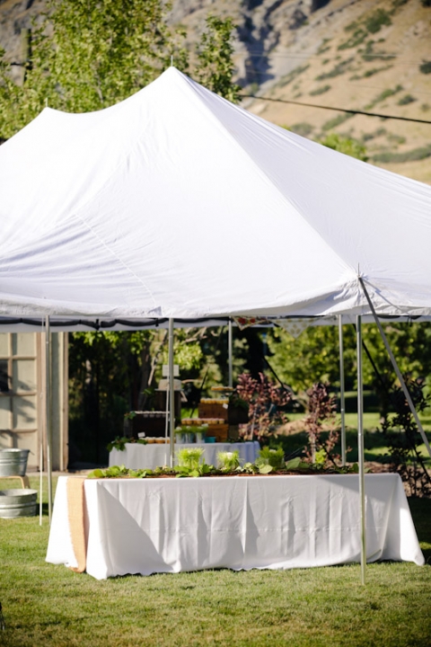 Wedding-2011-09-03-Sadey-Brett-Utah-Wedding-and-Portrait-Photographer-Picnic-Wedding-UT011IMG_7921-Blog1(pp_w480_h720)