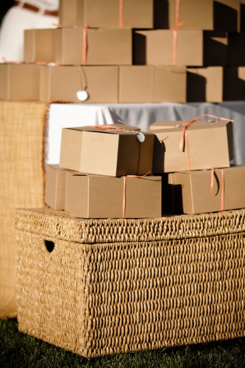 Wedding-2011-09-03-Sadey-Brett-Utah-Wedding-and-Portrait-Photographer-Picnic-Wedding-UT018IMG_8121-Blog1(pp_w480_h720)