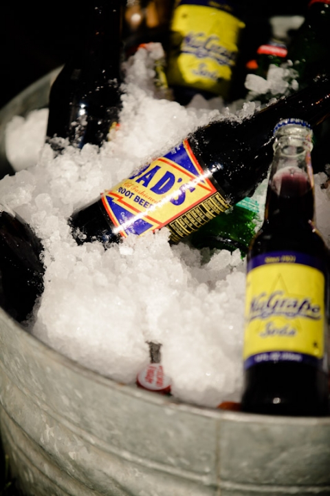 Wedding-2011-09-03-Sadey-Brett-Utah-Wedding-and-Portrait-Photographer-Picnic-Wedding-UT019IMG_8125-Blog1(pp_w480_h720)