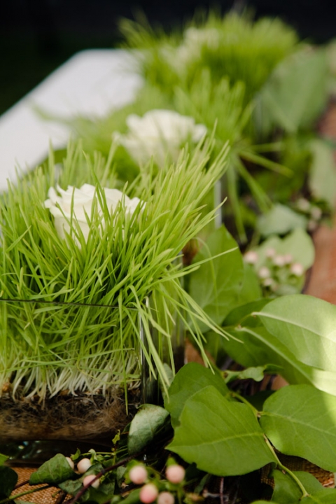 Wedding-2011-09-03-Sadey-Brett-Utah-Wedding-and-Portrait-Photographer-Picnic-Wedding-UT020IMG_7794-Blog1(pp_w480_h720)