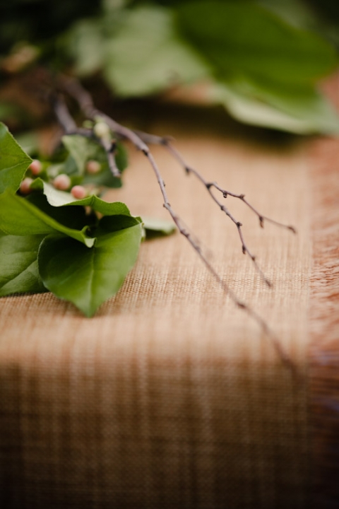 Wedding-2011-09-03-Sadey-Brett-Utah-Wedding-and-Portrait-Photographer-Picnic-Wedding-UT021IMG_7853-Blog1(pp_w480_h720)