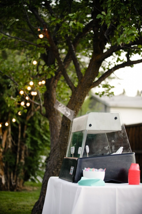 Wedding-2011-09-03-Sadey-Brett-Utah-Wedding-and-Portrait-Photographer-Picnic-Wedding-UT067IMG_8574-Blog1(pp_w480_h720)