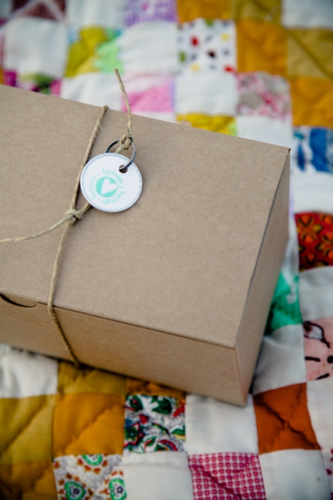 Wedding-2011-09-03-Sadey-Brett-Utah-Wedding-and-Portrait-Photographer-Picnic-Wedding-UT070IMG_8503-Blog1(pp_w480_h720)