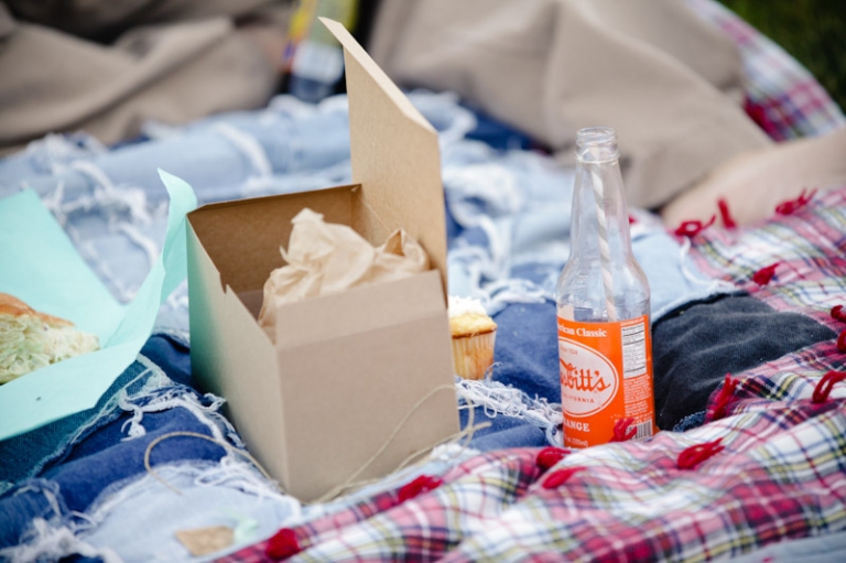 Wedding-2011-09-03-Sadey-Brett-Utah-Wedding-and-Portrait-Photographer-Picnic-Wedding-UT073IMG_8402-Blog1(pp_w768_h511)