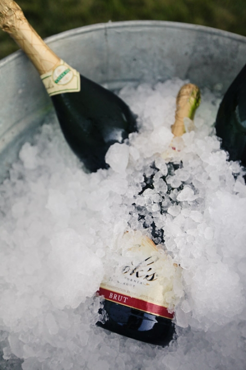 Wedding-2011-09-03-Sadey-Brett-Utah-Wedding-and-Portrait-Photographer-Picnic-Wedding-UT086IMG_8583-Blog1(pp_w480_h720)