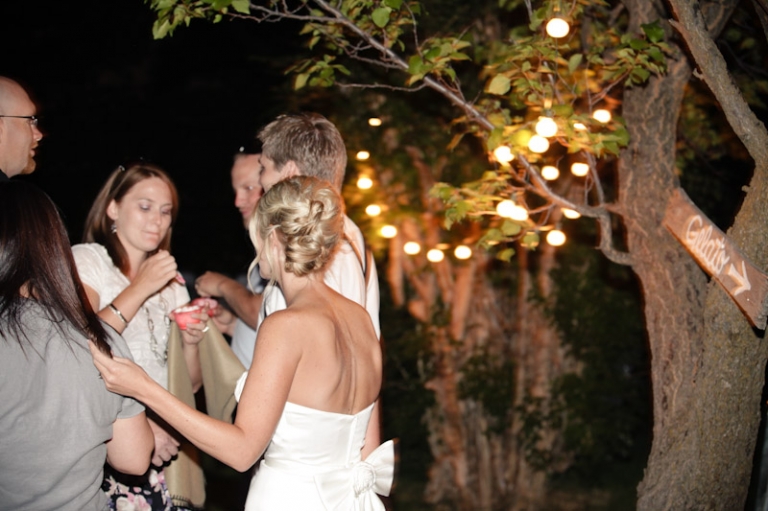 Wedding-2011-09-03-Sadey-Brett-Utah-Wedding-and-Portrait-Photographer-Picnic-Wedding-UT092IMG_8762-Blog1(pp_w768_h511)