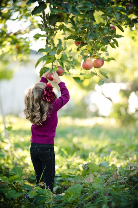 Family-2011-10-17-Family-Gardner-Utah-Wedding-and-Portrait-Photographer-Elisabeth-Kate-Photography-UT017IMG_0301-Blog(pp_w480_h720)